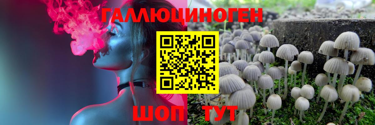 Псилоцибиновые грибы MAGIC MUSHROOMS Белово