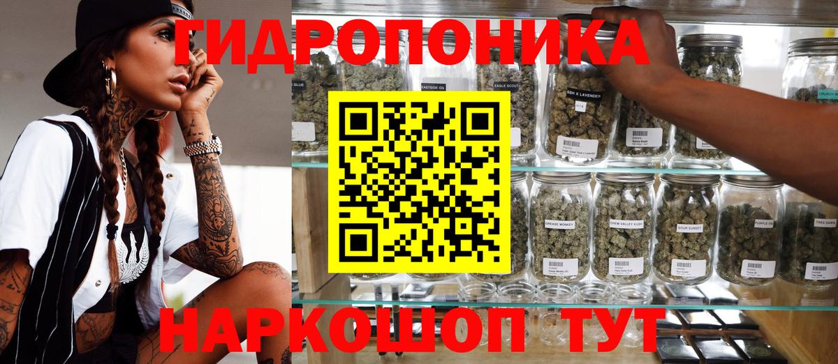 Бошки Шишки план Белово